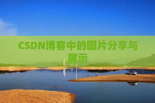 CSDN博客中的图片分享与展示